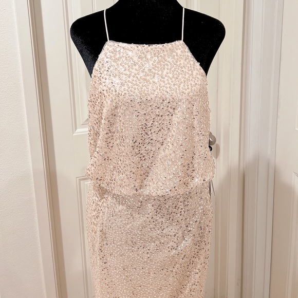 Adrianna Papell Nude Halter Blouson Beaded Mesh Long Gown Size 6 - Picture 5 of 7